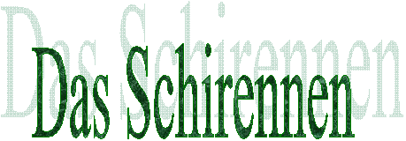 Das Schirennen